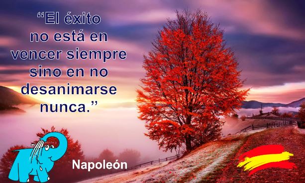 El éxito no está en vencer siempre sino en no desanimarse nunca.